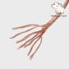Copper Clad ALuminum Stranded Wire
